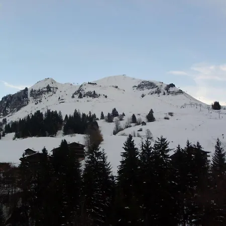 Cosy Au Chinaillon, Proche Commerces Et Pistes, 4 Pers, Animaux Admis. - Fr-1-467-69
