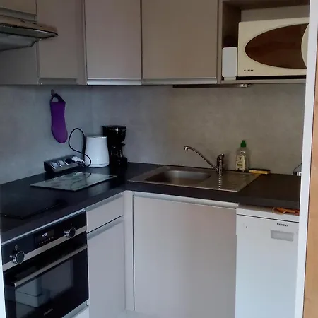Cosy Au Chinaillon, Proche Commerces Et Pistes, 4 Pers, Animaux Admis. - Fr-1-467-69